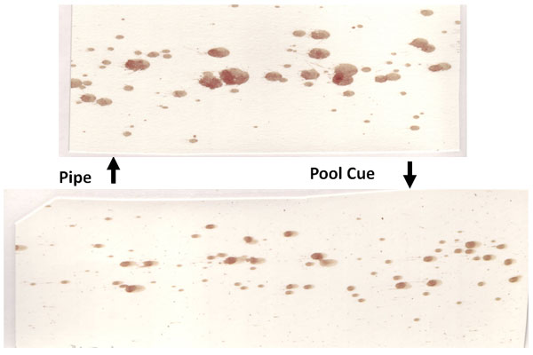 Bloodstain Pattern Analysis: Principles