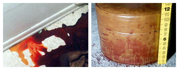 Bloodstain Pattern Analysis. BPA. BLOOD SPLATTER. On Black