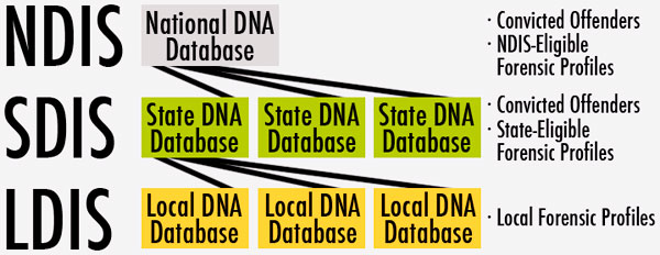 information in this image duplicated from previous paragraph.