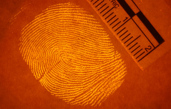 Fingerprint Analysis: How It's Done