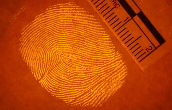 Developing Latent Fingerprints With Magnetic Powder - Youtube